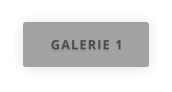 GALERIE 1